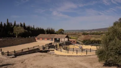 Rustic Finca in El Romeral photo 67