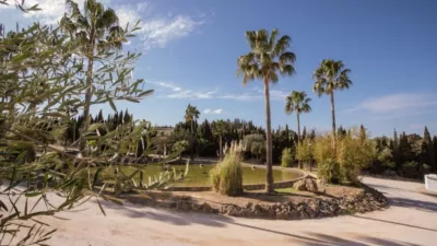 Rustic Finca in El Romeral photo 75