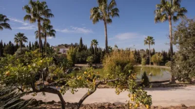 Rustic Finca in El Romeral photo 82