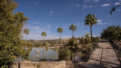 Rustic Finca in El Romeral photo 83
