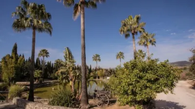 Rustic Finca in El Romeral photo 8