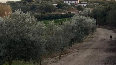 Rustic Finca in El Romeral photo 95