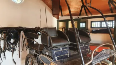 Rustic Finca in El Romeral photo 98