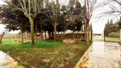 Rustic finca on Bellver Street photo 12