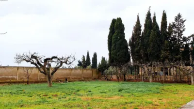 Rustic finca on Bellver Street photo 8