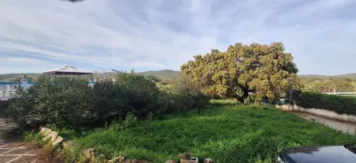 House on Carretera de Aracena photo 62