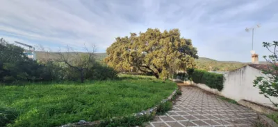 House on Carretera de Aracena photo 66