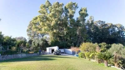 Chalet in San Pablo de Buceite photo 11