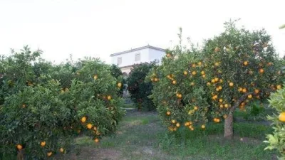 Chalet in San Pablo de Buceite photo 12