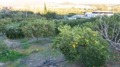 Chalet in San Pablo de Buceite photo 6