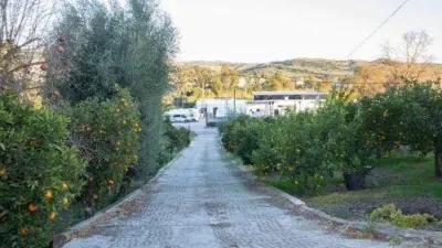 Chalet in San Pablo de Buceite photo 9