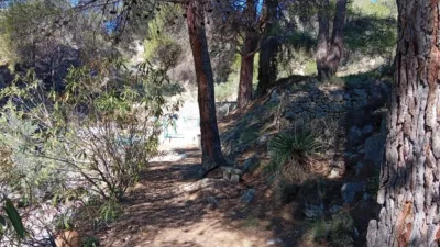 Rustic farm in Poligono Ind. los Vasalos photo 13