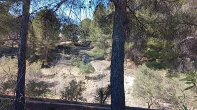 Rustic farm in Poligono Ind. los Vasalos photo 16