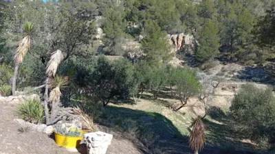 Rustic farm in Poligono Ind. los Vasalos photo 17