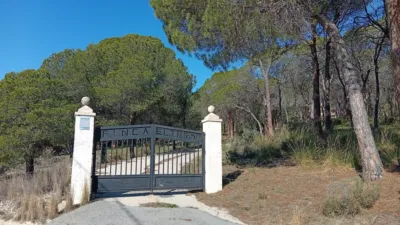 Rustic farm in Poligono Ind. los Vasalos photo 25