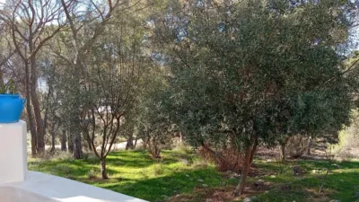 Rustic farm in Poligono Ind. los Vasalos photo 26