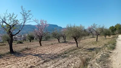 Rustic farm in Poligono Ind. los Vasalos photo 28