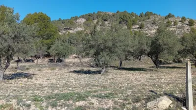 Rustic farm in Poligono Ind. los Vasalos photo 29