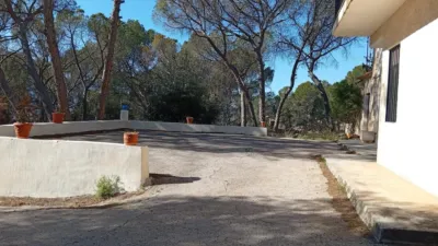 Rustic farm in Poligono Ind. los Vasalos photo 3