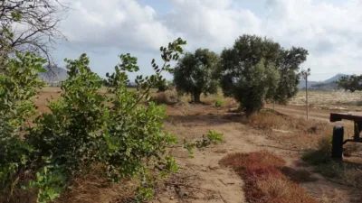 Rustic Finca in Los Belones photo 9