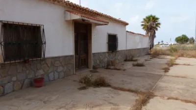 Rustic Finca in Los Belones photo 12