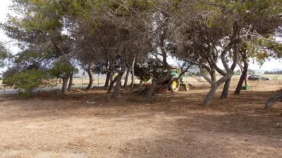Rustic Finca in Los Belones photo 14
