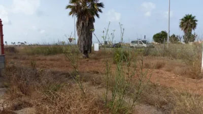 Rustic Finca in Los Belones photo 19