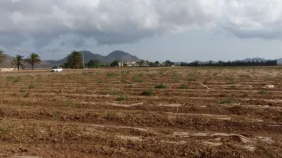Rustic Finca in Los Belones photo 20