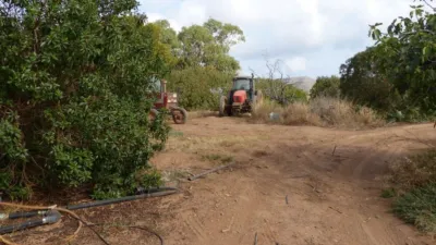 Rustic Finca in Los Belones photo 23