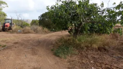 Rustic Finca in Los Belones photo 25