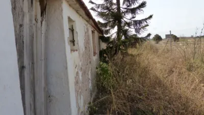 Rustic Finca in Los Belones photo 27