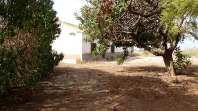 Rustic Finca in Los Belones photo 30