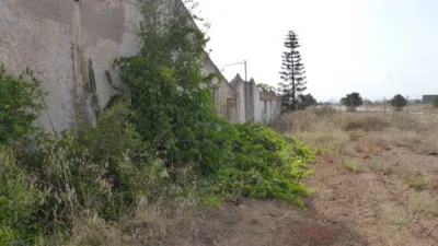 Rustic Finca in Los Belones photo 36
