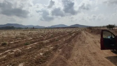 Rustic Finca in Los Belones photo 2