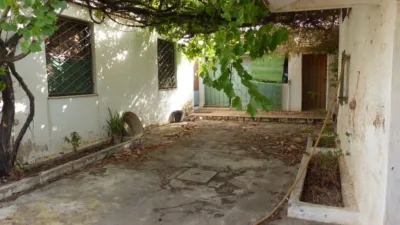 Rustic Finca in Los Belones photo 3
