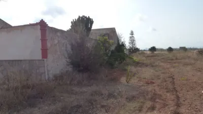 Rustic Finca in Los Belones photo 5