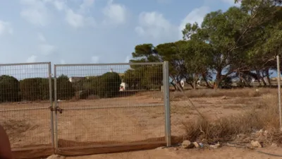 Rustic Finca in Los Belones photo 6