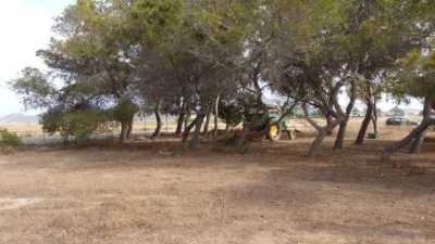 Rustic Finca in Los Belones photo 7