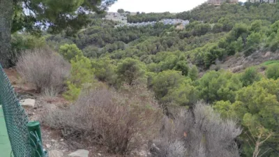 Terreno en venta en Calle Principal de La Serra - Vista 3