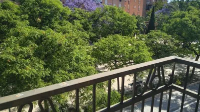 Pis – Alicante - Alacant - Vista 2