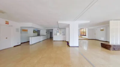 Flat in Palmanova-Son Caliu photo 25