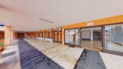 Flat in Palmanova-Son Caliu photo 26