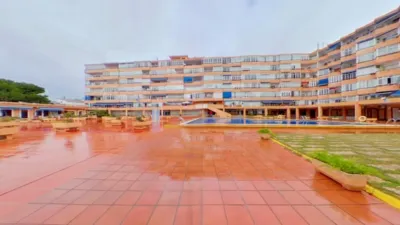 Flat in Palmanova-Son Caliu photo 2