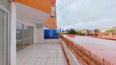 Flat in Palmanova-Son Caliu photo 9