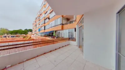 Flat in Palmanova-Son Caliu photo 10