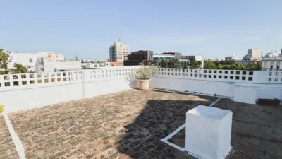 Apartment in San Carlos photo 36