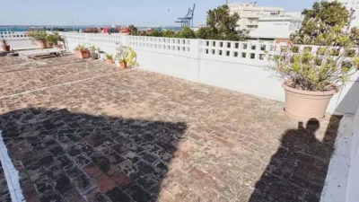 Apartment in San Carlos photo 38