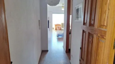 Pis – Elche, Urbanització Els Arenals del Sol - Vista 5
