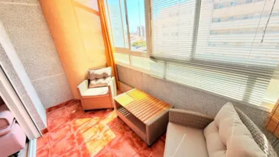 Pis – Torrevieja - Vista 5