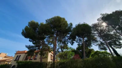 Chalet en venta en Buñol, Buñol de 900.000 €